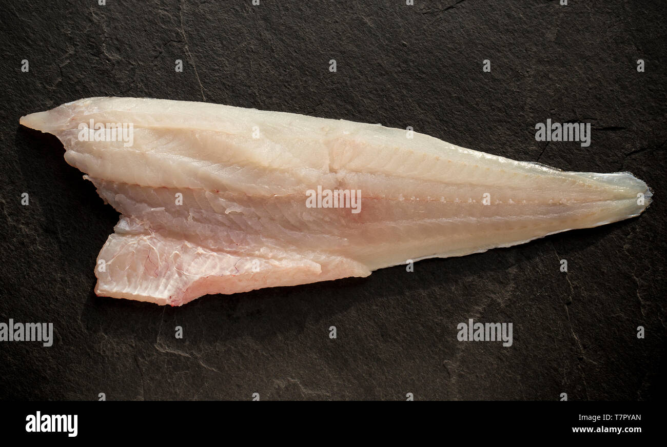 Un crudo, non cotte filetto singolo da un pollack, Pollachius pollachius, catturato sulla biella e la linea da una barca nel Canale della Manica. Visualizzato su un ardesia b Foto Stock