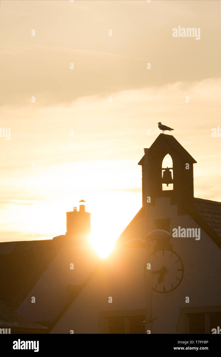 Un gabbiano a sunrise seduti sulla cima di St John's chiesa si affaccia su West Bay Harbour sulla Pasqua Bank Holiday 2019. Il Dorset England Regno Unito GB Foto Stock