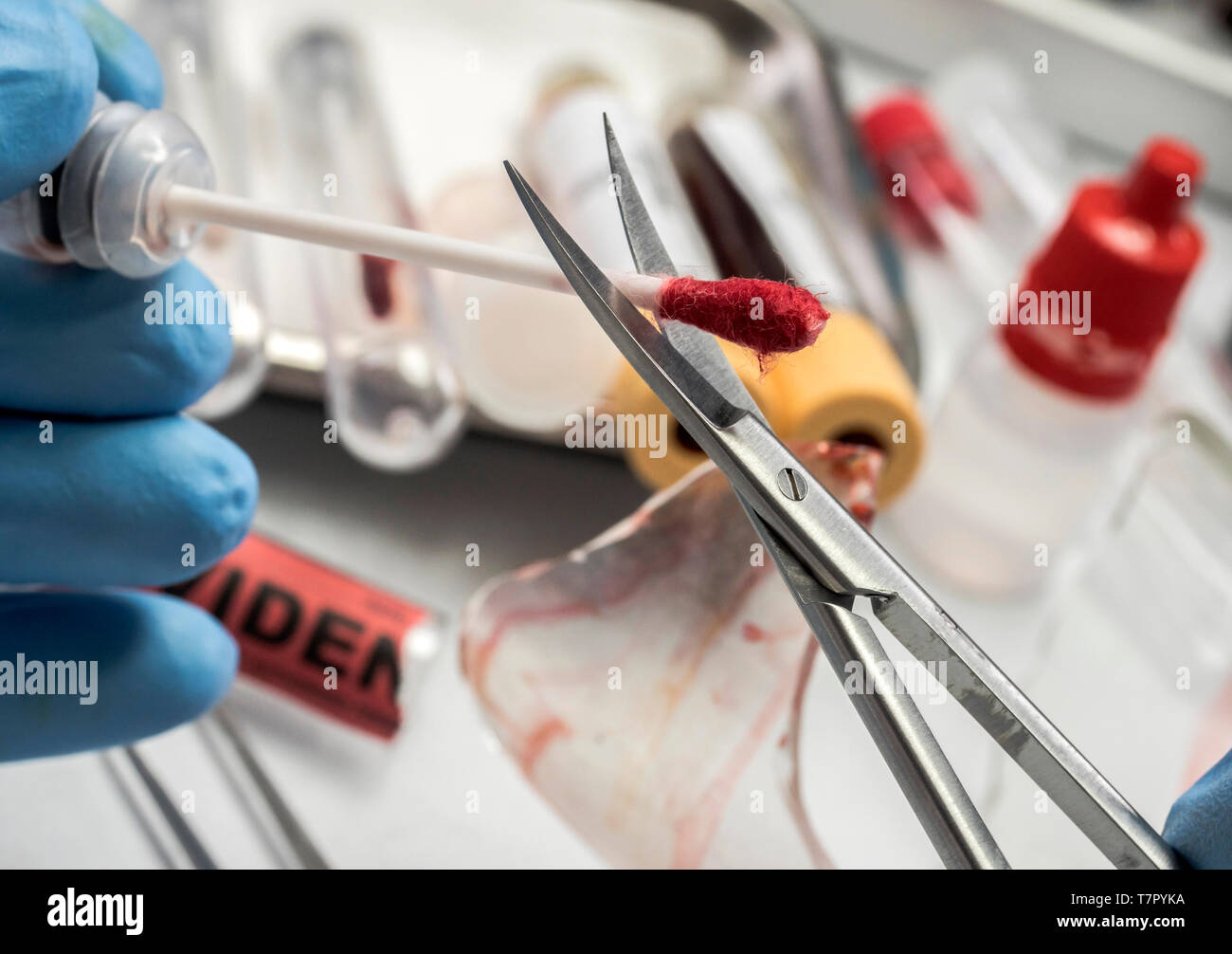 Criminologia funzionario di polizia tagli con una forbice di issopo con il campione di sangue da analizzare in laboratorio, immagine concettuale Foto Stock