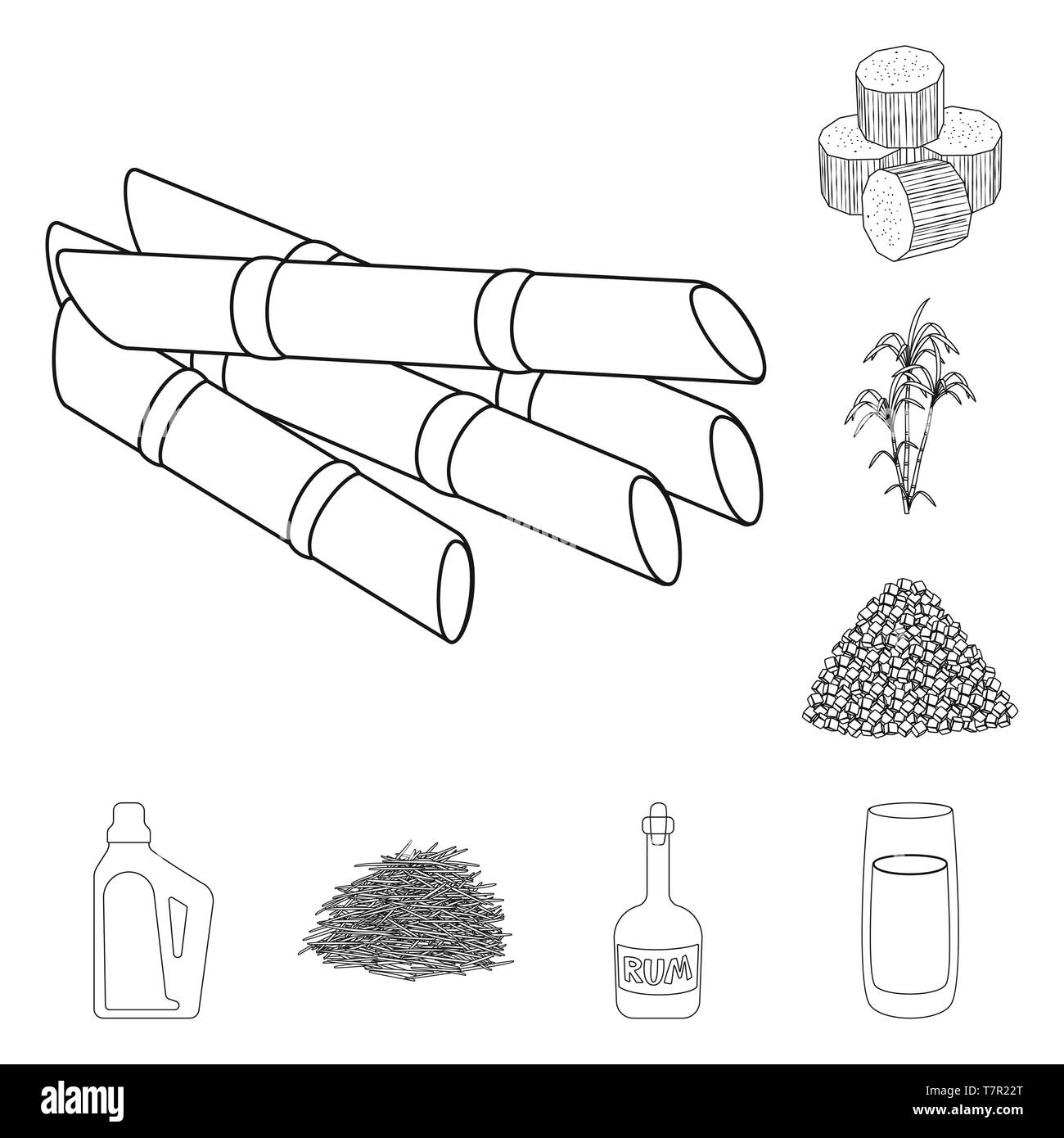 Oggetto isolato di zucchero e segno di campo. Set di zucchero e piantagione simbolo azionario per il web. Illustrazione Vettoriale