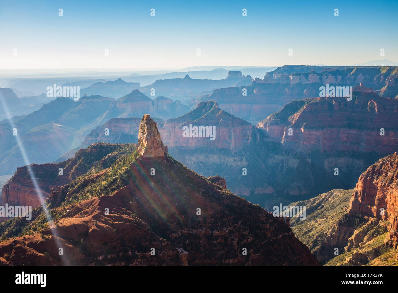 Il Grand Canyon all'alba dal lato meridionale, le sembra che sia sul fuoco e la luce dorata luccica off i picchi nel canyon, nessuno nella foto Foto Stock