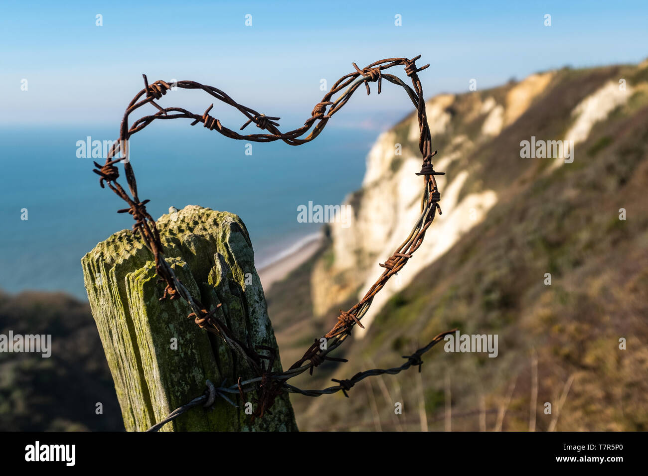 Filo spinato su un palo da recinzione conformato in un cuore con un backdrop​ di scogliere bianche nel Devon, contro un cielo blu chiaro Foto Stock