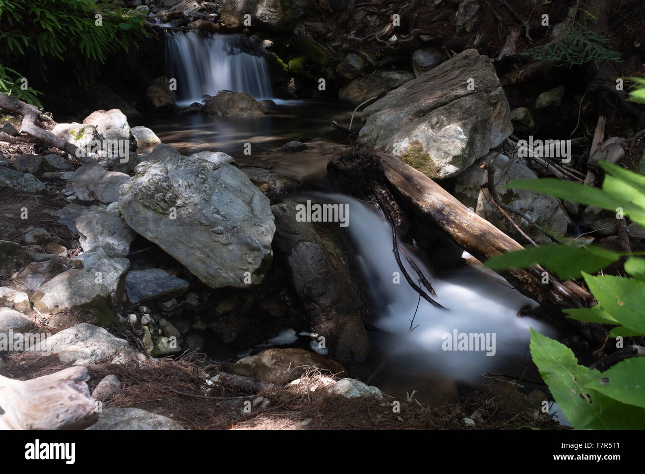 Un piccolo multi-tiered cascata con rocce e fogliame verde lunga esposizione shot per smussare la cascata d'acqua Foto Stock