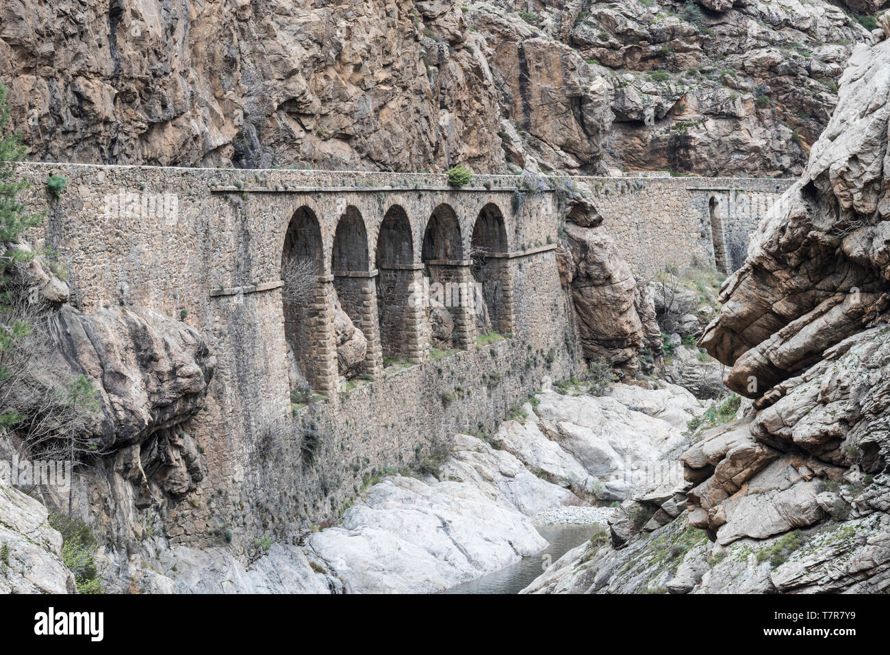 Ponte stradale in Scala di Santa Regina Gorge, Corsica Foto Stock