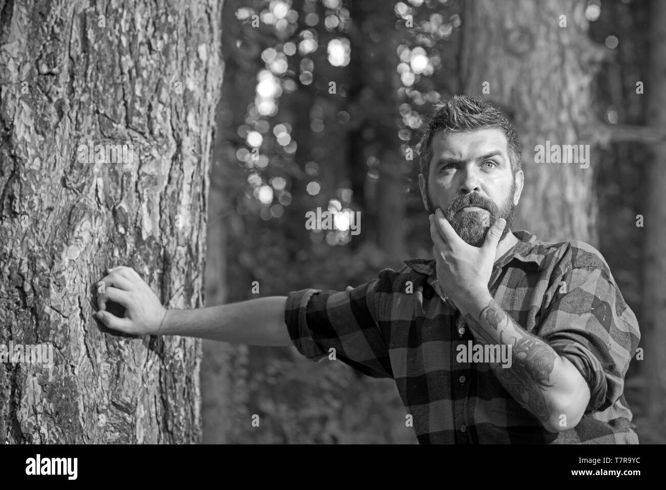 L uomo sta sotto verde albero nella foresta di estate Foto Stock