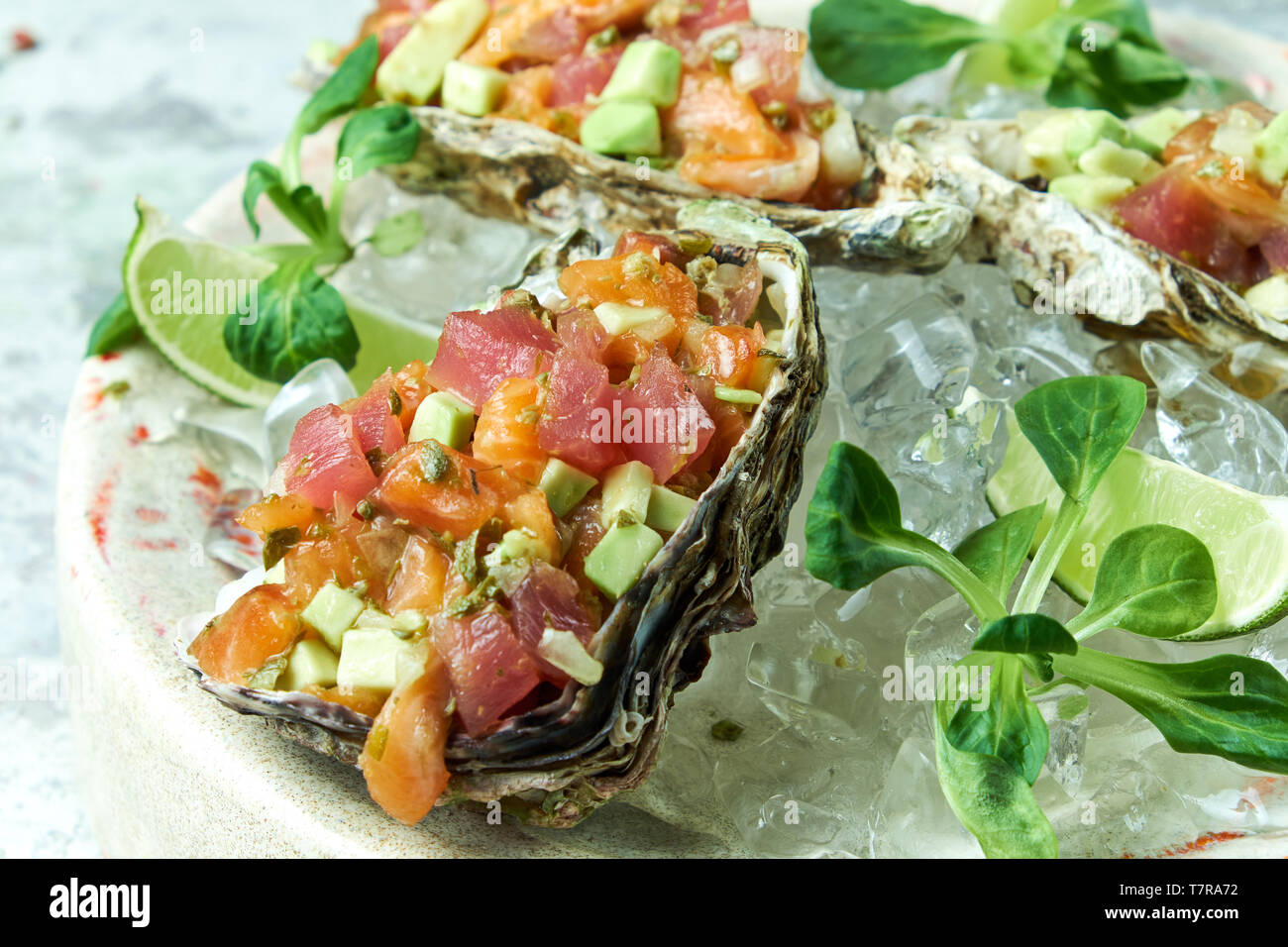 Tartare di pesce e avocado in un guscio su una lastra di ghiaccio. Bellissimi piatti di servizio. Sfondo grigio chiaro. Il menu del ristorante Foto Stock