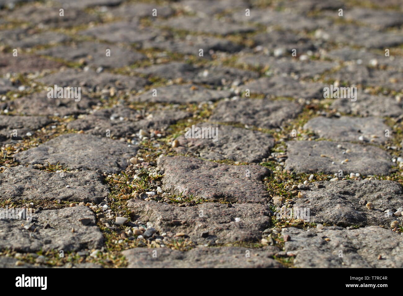 La pavimentazione di pietra closeup è una piccola parte di passeggiate e luoghi in un parco urbano. Con Giunti, split e un po' di erba. 2 Foto Stock