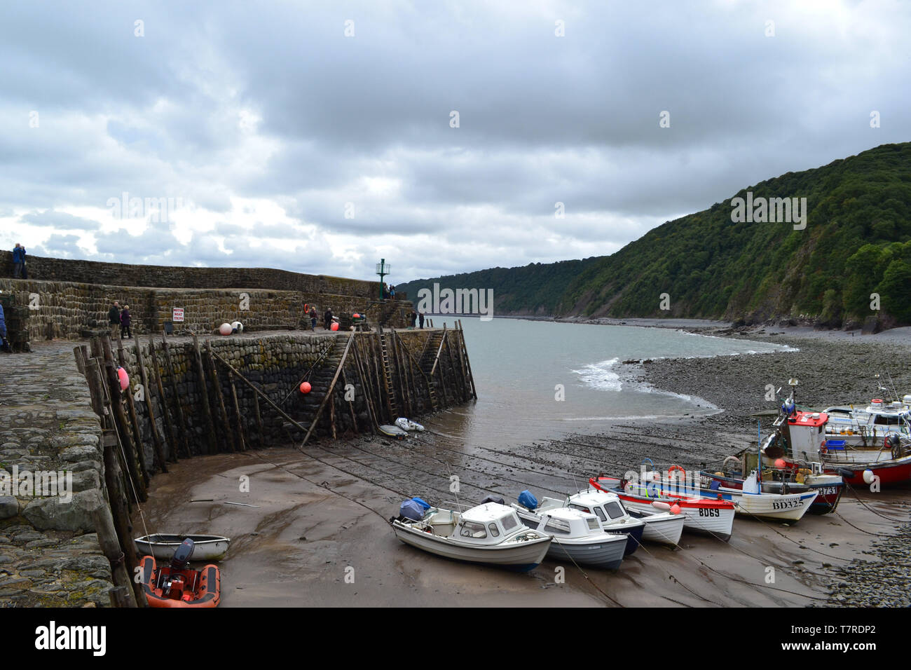 Clovelly Harbour, Clovelly, North Devon, Regno Unito Foto Stock