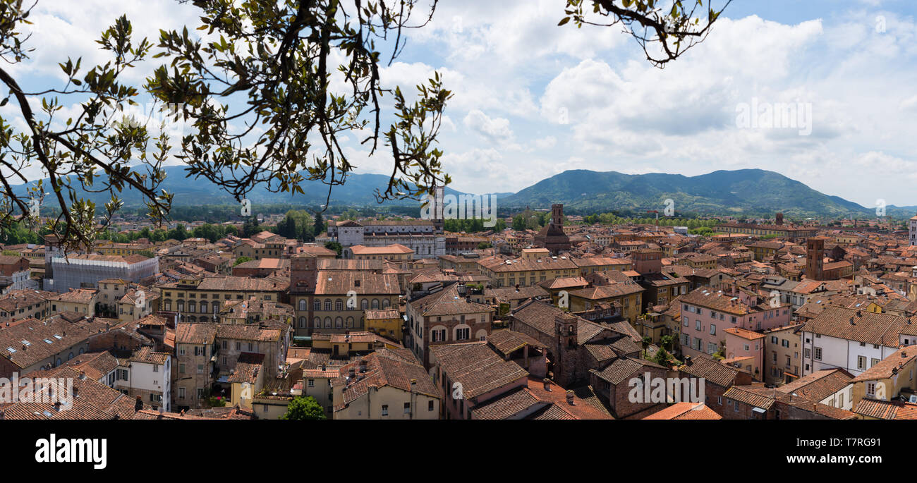 Blick auf die Dächer von Lucca Foto Stock