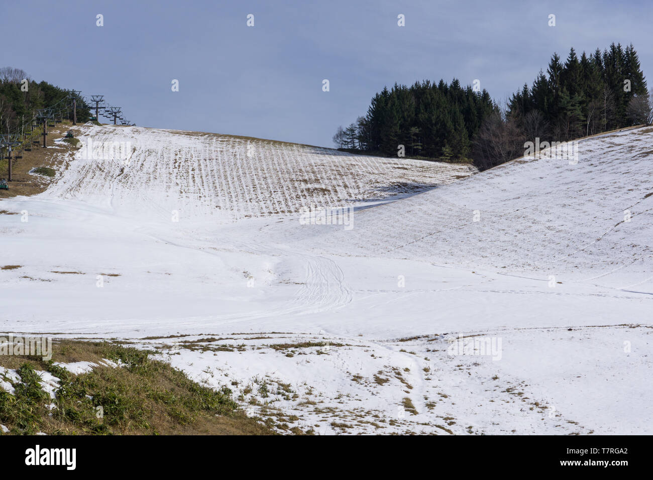 Il bianco della neve coprire free-range erba, multiforme lo rende ideale per lo sci facility, forte vento, vasti spazi aperti, questa area di conservazione è valsa la pena di en Foto Stock
