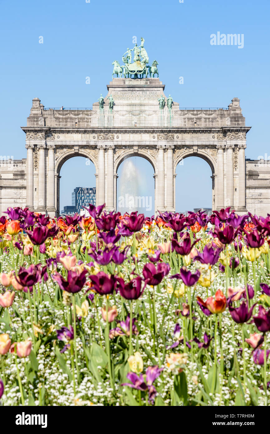 Il arcade du Cinquantenaire, l'arco trionfale eretto nel parco del Cinquantenario a Bruxelles, Belgio, con fiori in fiore in primo piano. Foto Stock