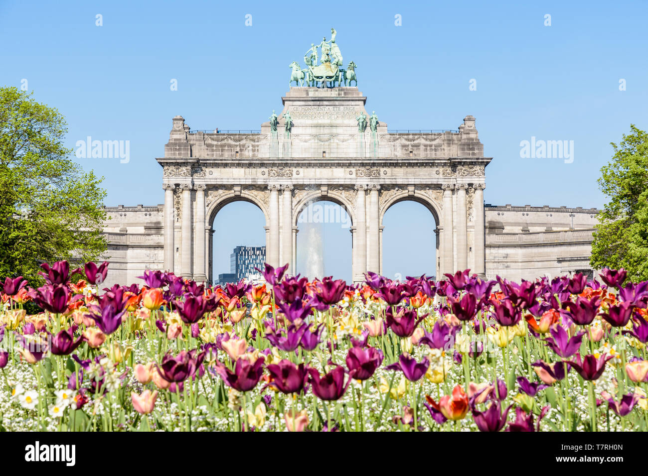 Il arcade du Cinquantenaire, l'arco trionfale eretto nel parco del Cinquantenario a Bruxelles, Belgio, con fiori in fiore in primo piano. Foto Stock
