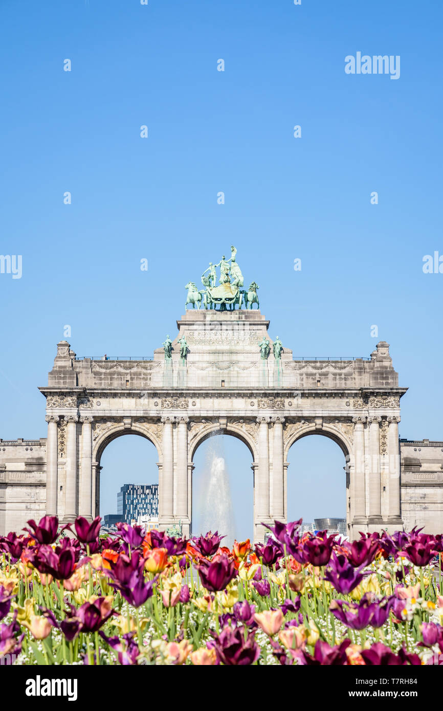 Il arcade du Cinquantenaire, l'arco trionfale eretto nel parco del Cinquantenario a Bruxelles, Belgio, con fiori in fiore in primo piano. Foto Stock