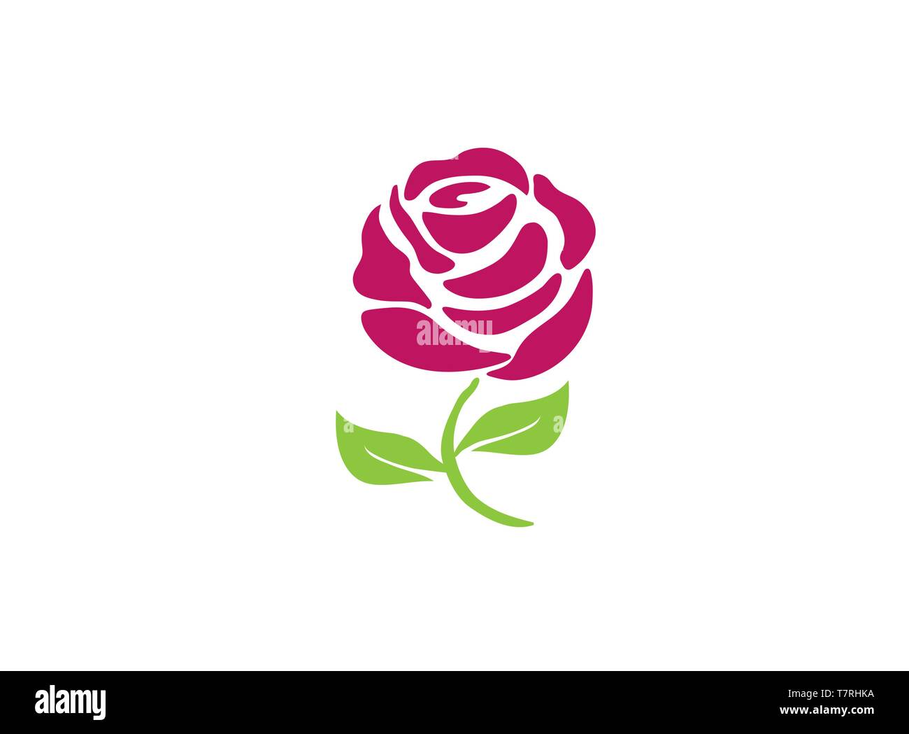 Rosa con foglie e gamba lunga fiore per il logo Illustrazione Vettoriale