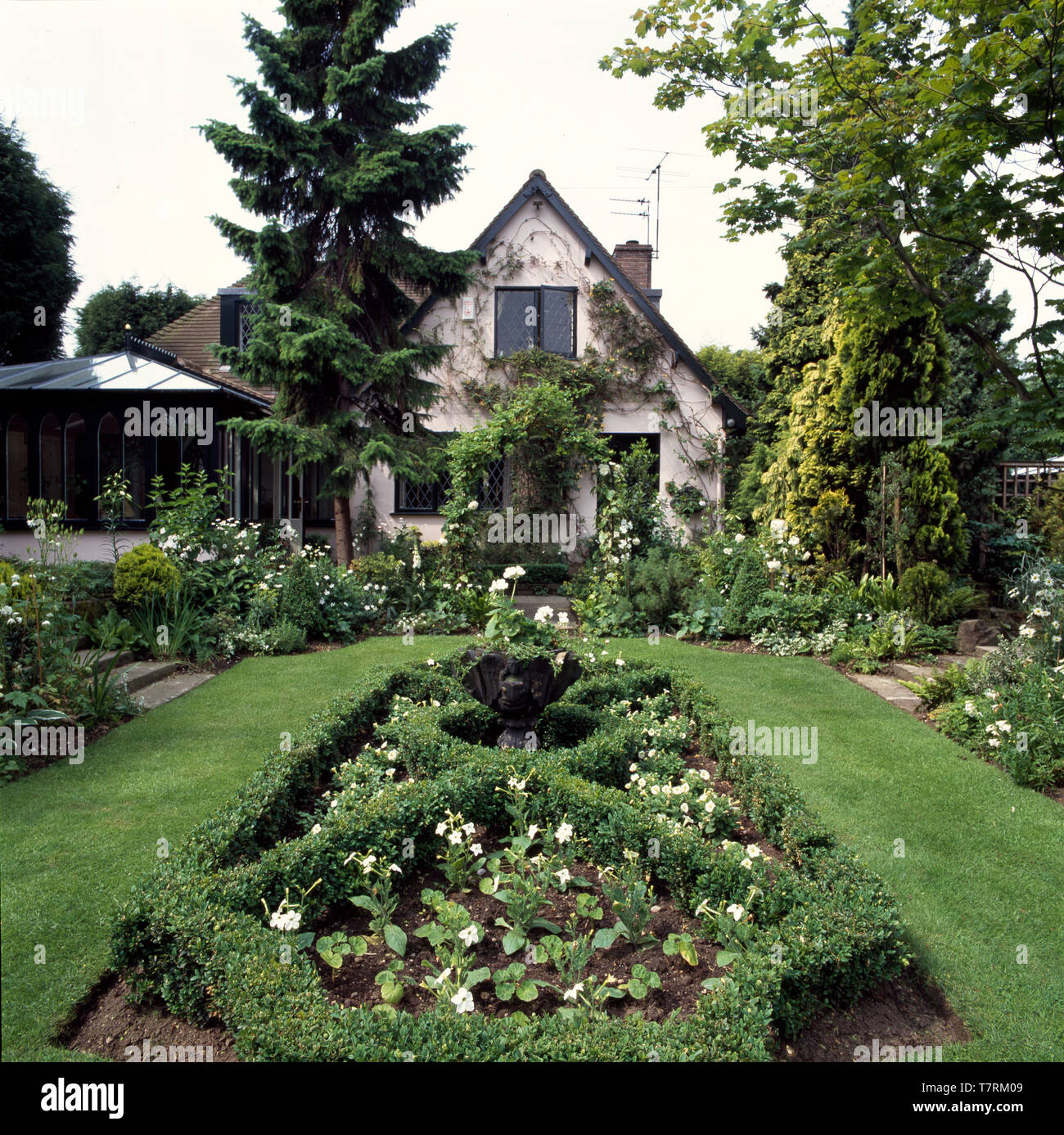 Tall conifera accanto a casa con piccolo giardino a nodo all'interno di prato Foto Stock
