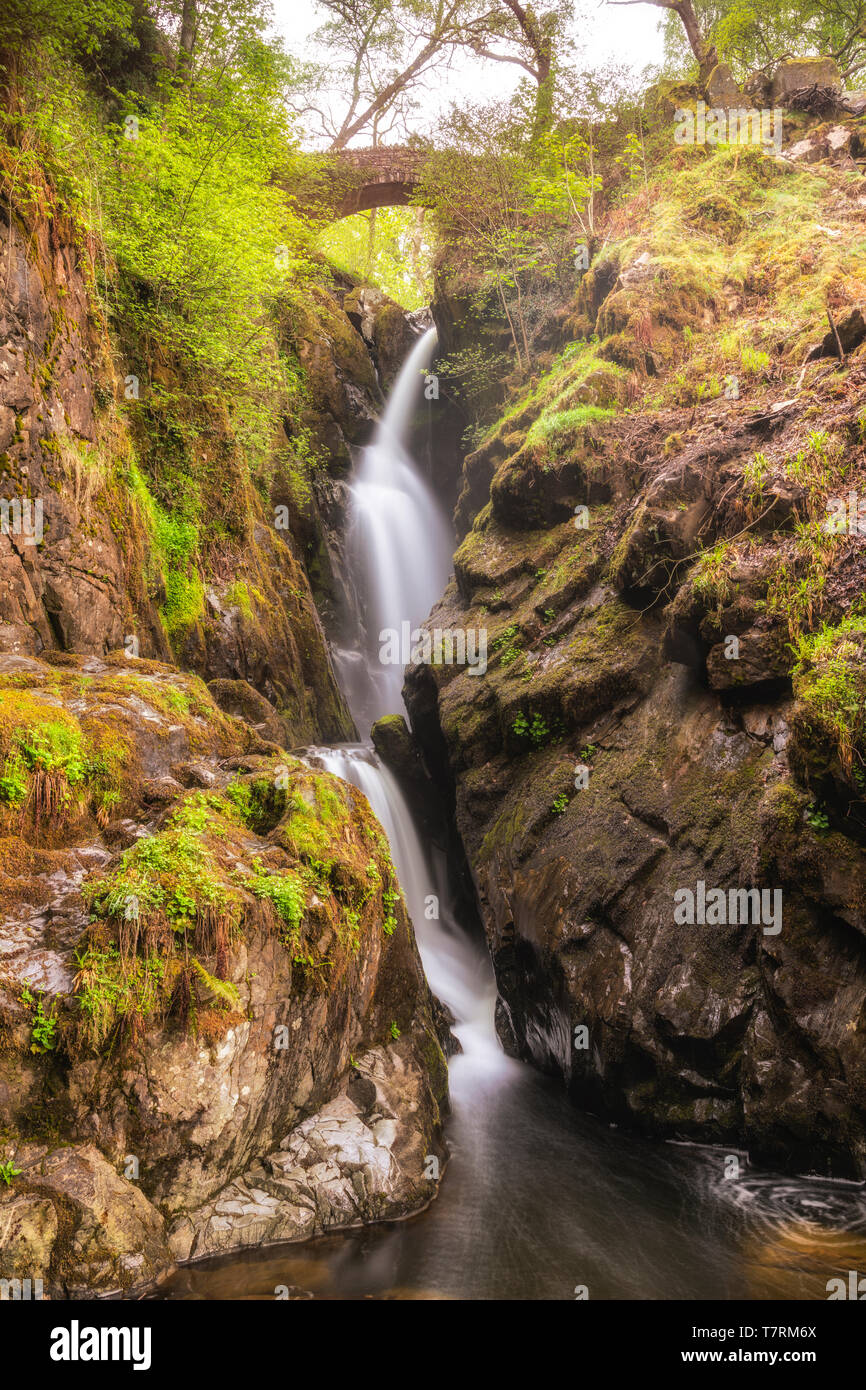 La visualizzazione classica di Aira Force vicino a Ullswater nel Parco Nazionale del Distretto dei Laghi, REGNO UNITO Foto Stock