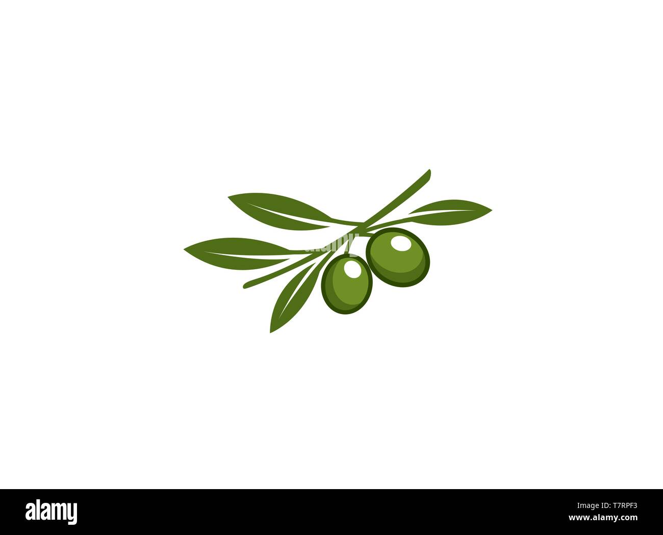 Ramo di oliva con olive e foglie verdi per il logo Illustrazione Vettoriale