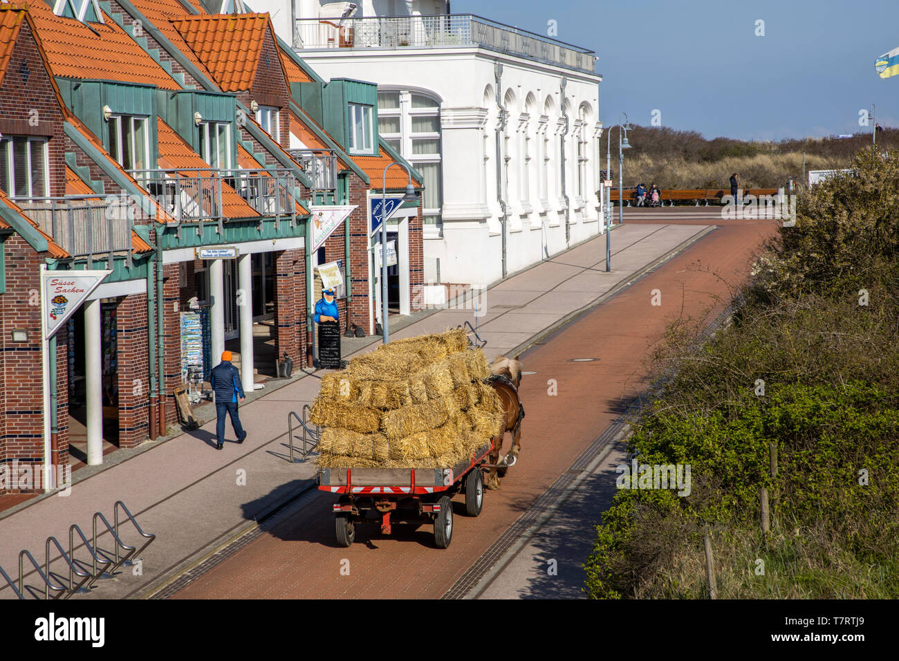 Isola del Mare del Nord di Juist, Frisia orientale, isola-tipica carrozza trainata da cavalli, come mezzo di trasporto, Kurhaus Hotel, Bassa Sassonia, Germania, Foto Stock