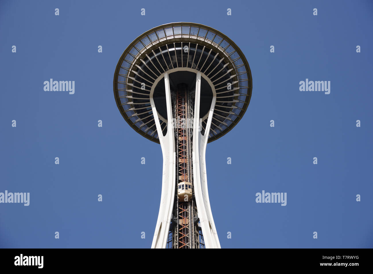 Lo Space Needle torre di osservazione a Seattle, Stati Uniti d'America Foto Stock