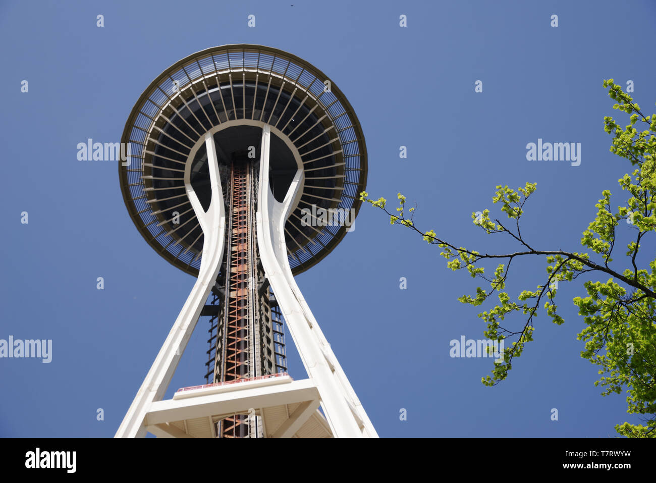 Lo Space Needle torre di osservazione a Seattle, Stati Uniti d'America Foto Stock
