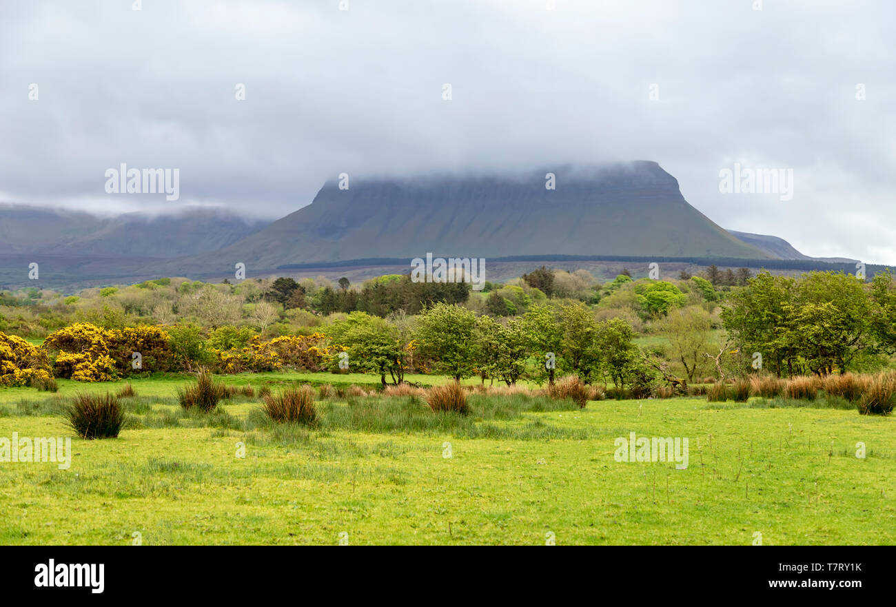 Benbulbin o Benbulben, un grande piatto-sormontato rock formazione velata da basse nuvole pensili, Mullaghmore penisola, nella contea di Sligo, Repubblica di Irlanda. Foto Stock