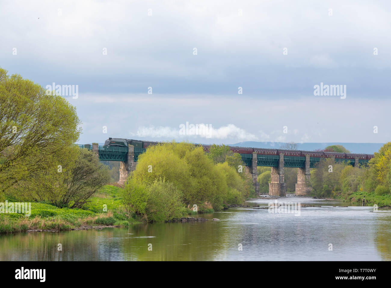 L'Aberdeen Flyer, trainati da LNER Classe A4 'Unione del Sud Africa', attraversa il fiume North Esk sul viadotto Marykirk come esso ritorna a sud Foto Stock