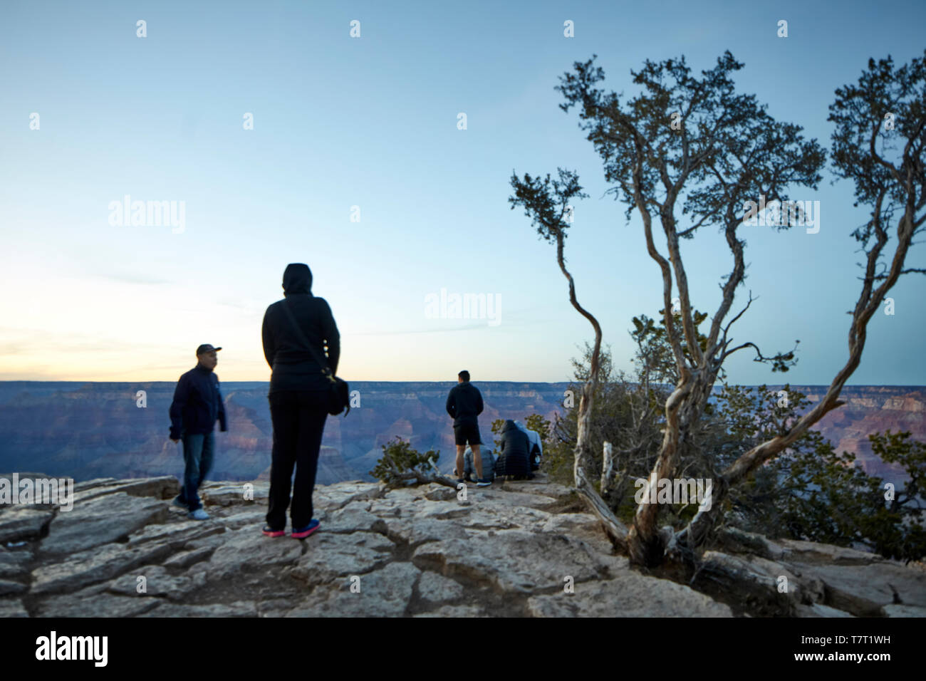 Punto di riferimento del Parco Nazionale del Grand Canyon South Rim pendii ripidi canyon scavato dal fiume Colorado in Arizona, Stati Uniti Foto Stock