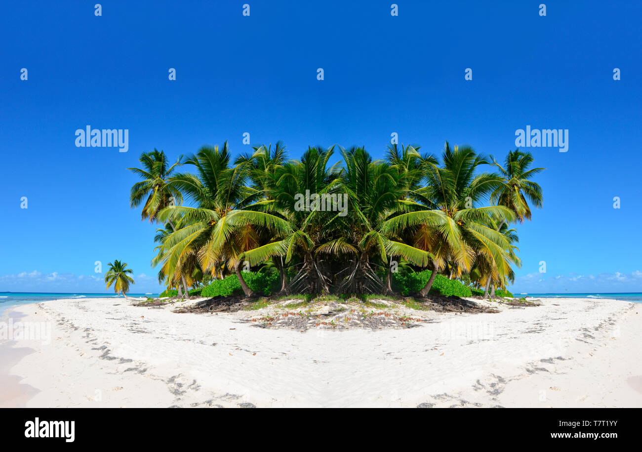 Belle palme su una spiaggia di sabbia bianca, sotto un cielo blu. Mar dei Caraibi costa Foto Stock