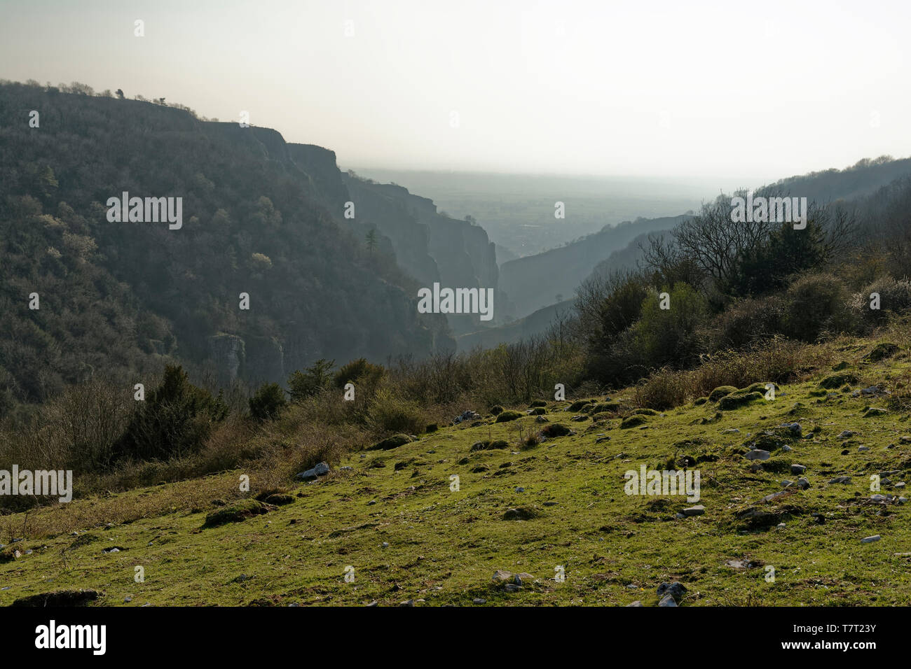 Cheddar Gorge visto dal Piney frode, lato nord della gola Foto Stock