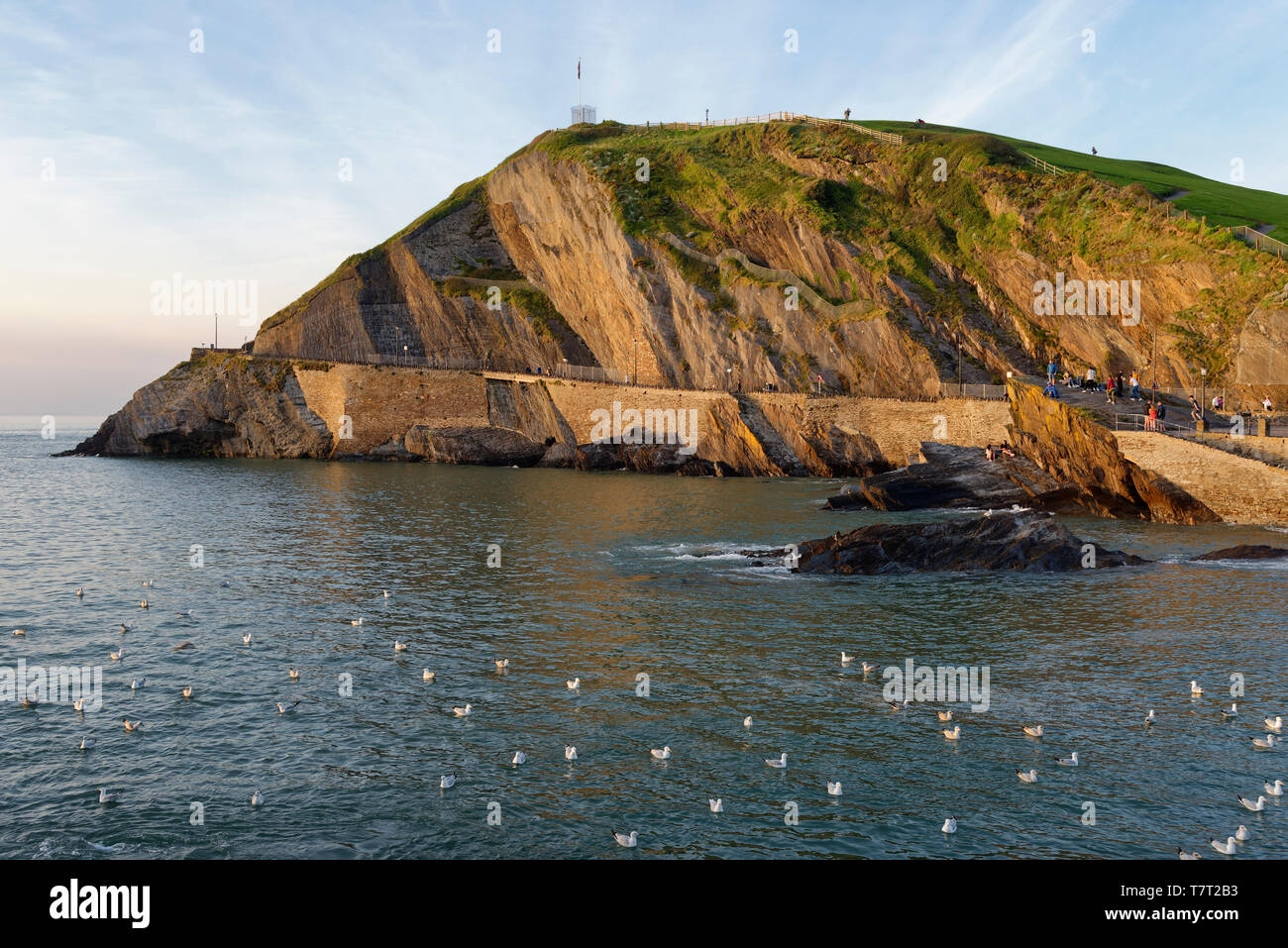 Molla di sera alta marea a Capstone punto, Ilfracombe, Devon, Regno Unito Foto Stock