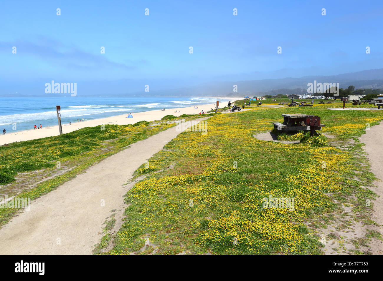 Half Moon Bay Beach in California Foto Stock