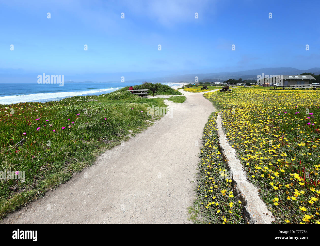 Half Moon Bay Beach in California Foto Stock