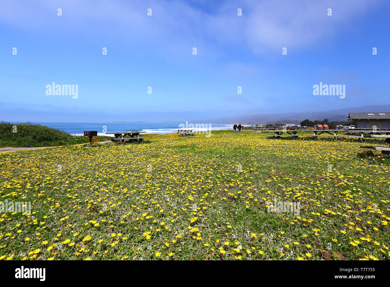 Half Moon Bay Beach in California Foto Stock