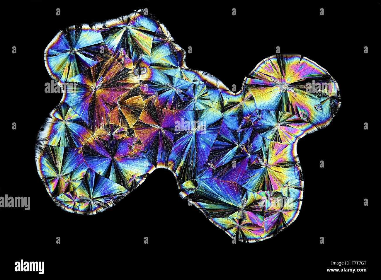 I cristalli di acido citrico Foto Stock