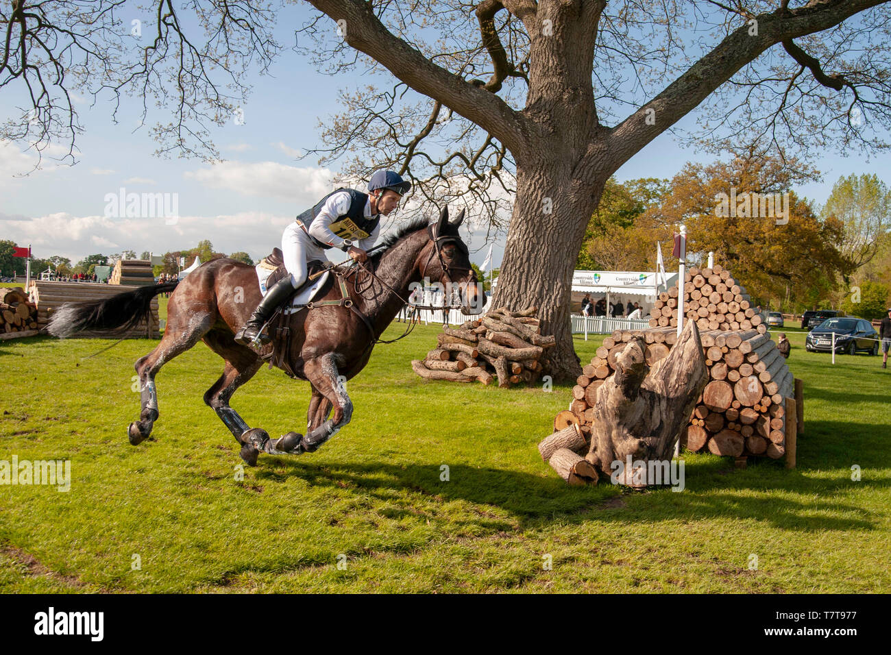 Badminton, Gloucestershire, Regno Unito, 4 maggio 2019, Chris Burton riding Cooley Terre durante il Cross Country fase del 2019 Mitsubishi Motors Badminton Horse Trials, Credito:Jonathan Clarke/Alamy Stock Photo Foto Stock