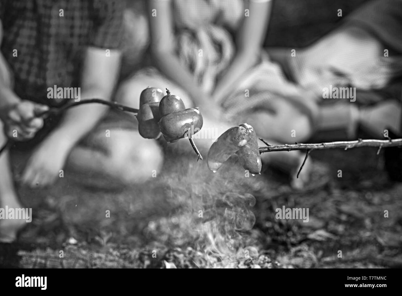 Notte in campeggio in estate. La cottura di salsicce su bastoni su fiamme di fuoco. Due coppie seduto da falò Foto Stock