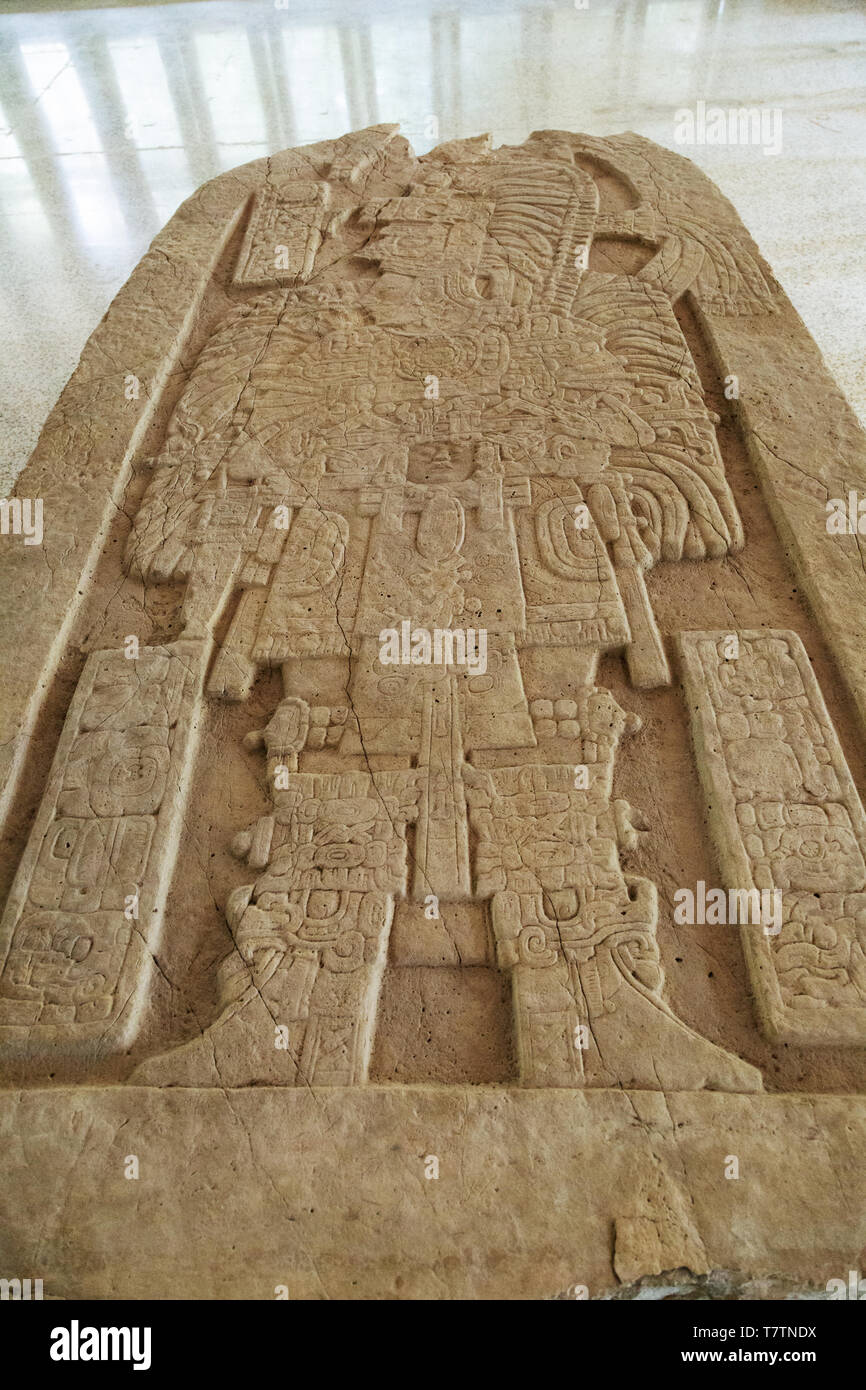 Museo Tikal Guatemala - una Stela nel Museo Tikal, antica pietra scolpita maya dal sito maya Tikal, Tikal Guatemala America Centrale Foto Stock