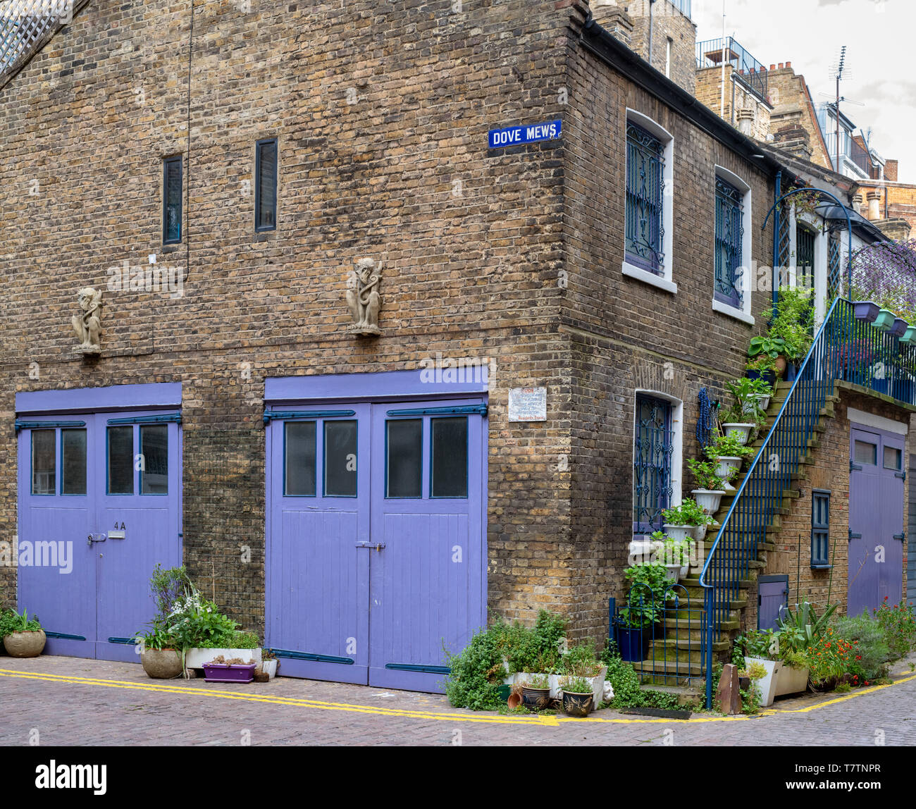 Pietra grottesche di Griffin e vasi di fiori su una casa scala. Colomba Mews, South Kensington SW7, Londra. Inghilterra Foto Stock