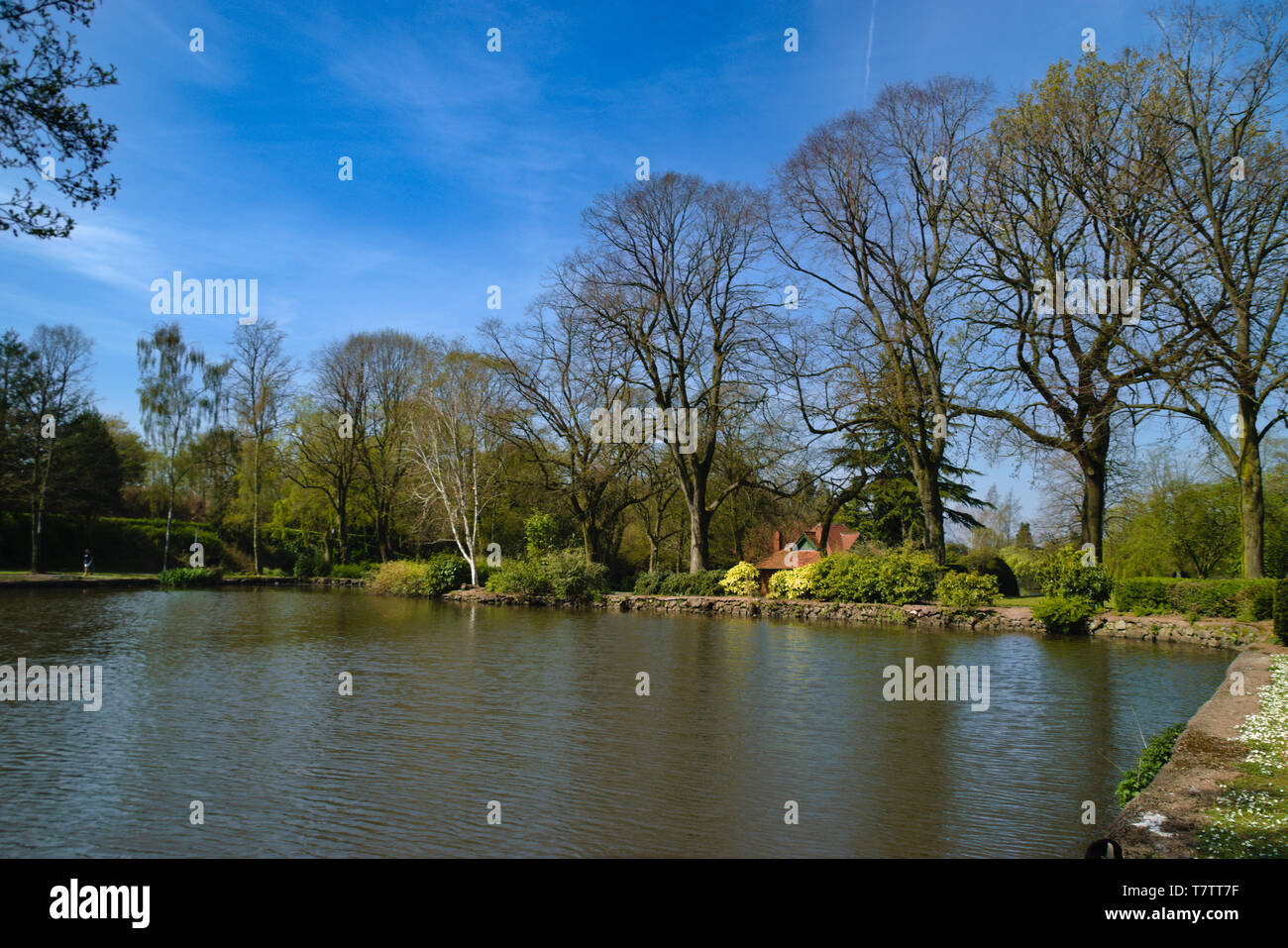 Vista lago Foto Stock