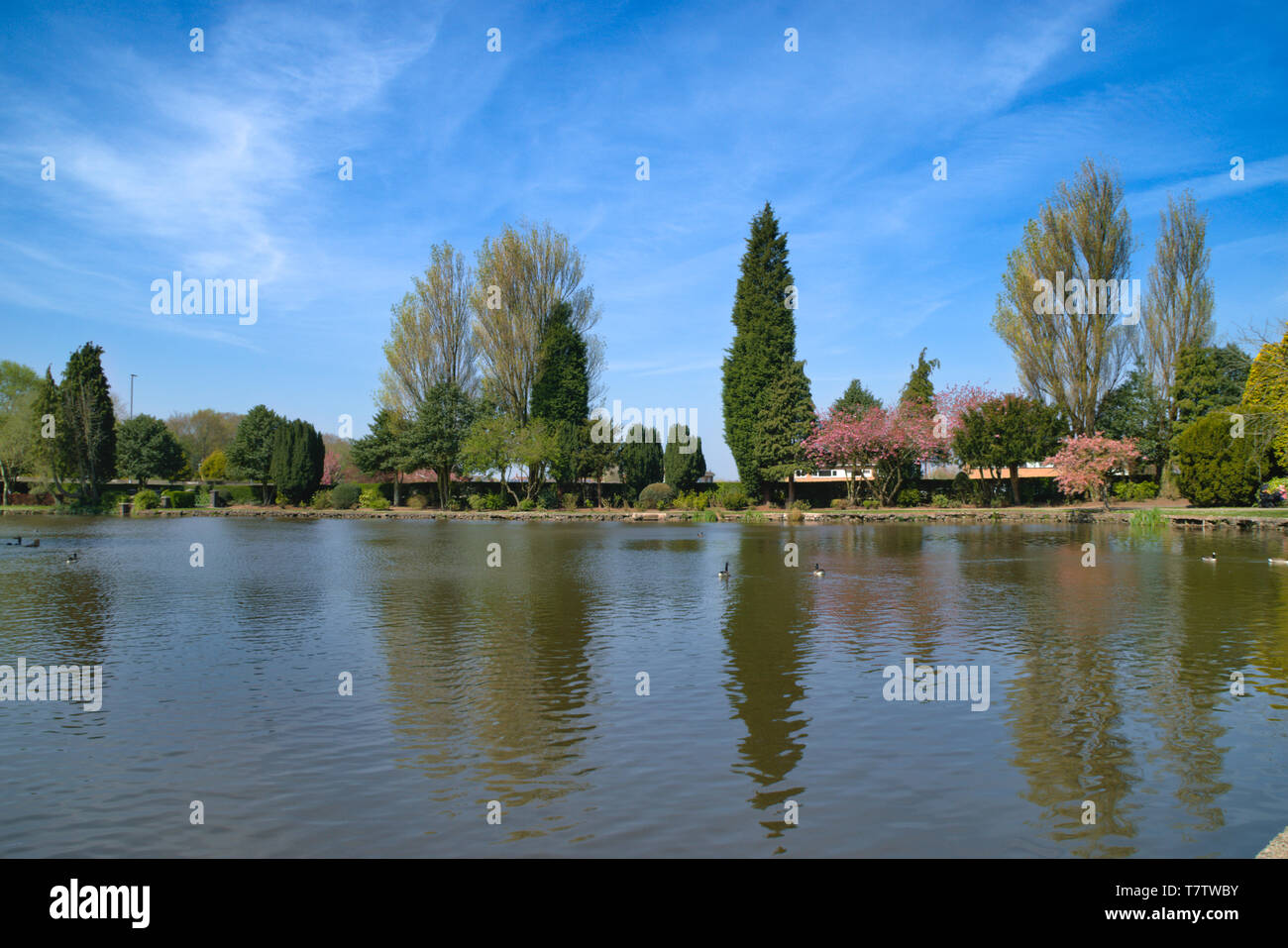 Vista lago Foto Stock