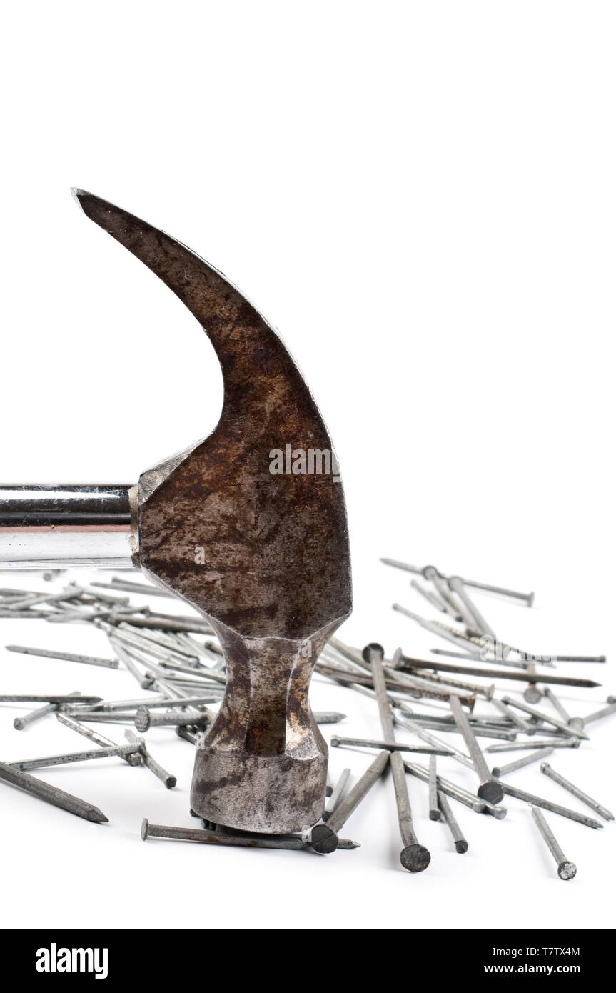 Martello da carpentiere e chiodi su sfondo bianco. Focus sul martello e chiodi in primo piano. Foto Stock