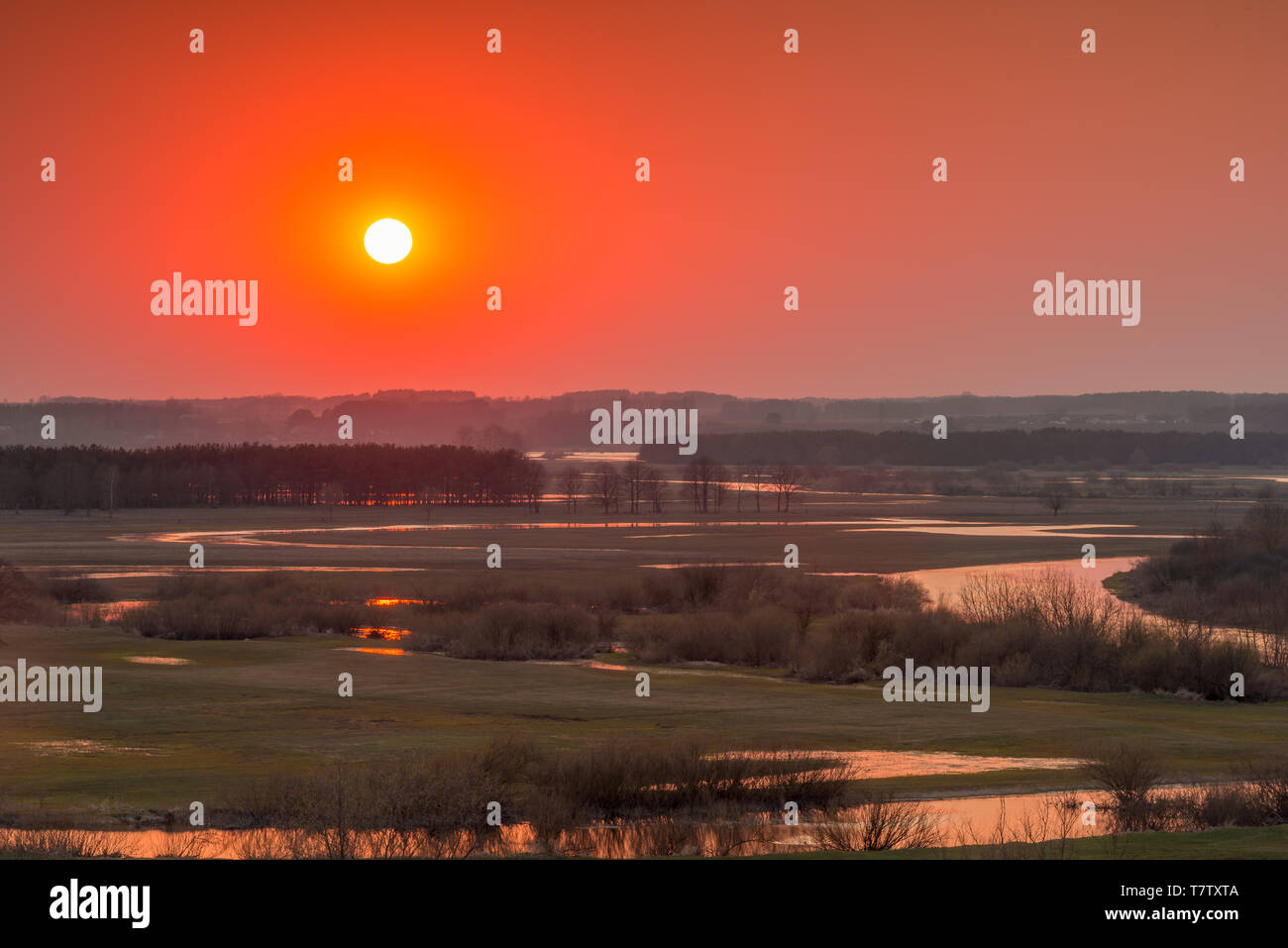 Viste dal Strekowa Gora sul fiume Narew all'alba. Foto Stock