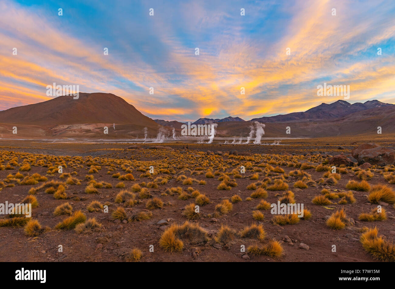 Sunrise nella Cordigliera delle Ande del Cile con la cottura a vapore vapore acqueo del geyser El Tatio Geyser, campo deserto di Atacama, Cile. Foto Stock