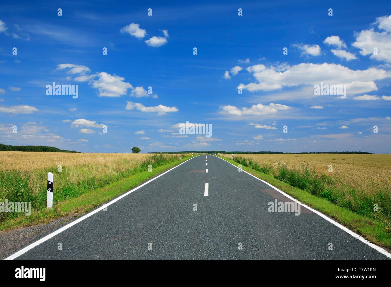 Paese strada attraverso campi in estate, conduce direttamente all'orizzonte, cielo blu con nuvole, bel tempo, Sassonia-Anhalt, Germania Foto Stock