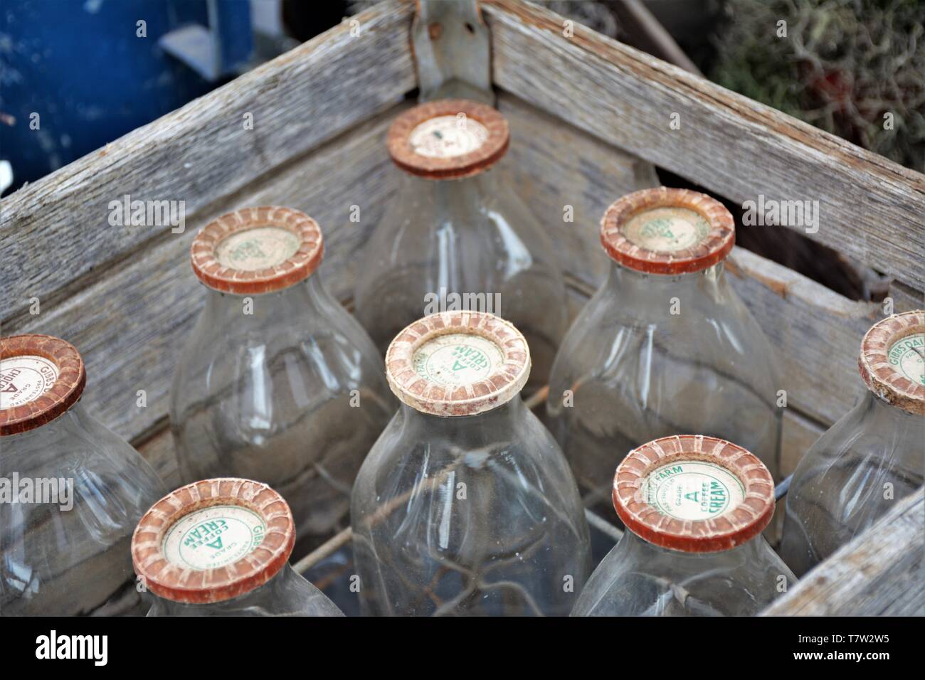 Vetro bottiglie di latte per la vendita ai collezionisti e come oggetti di antiquariato in casa e giardino Foto Stock