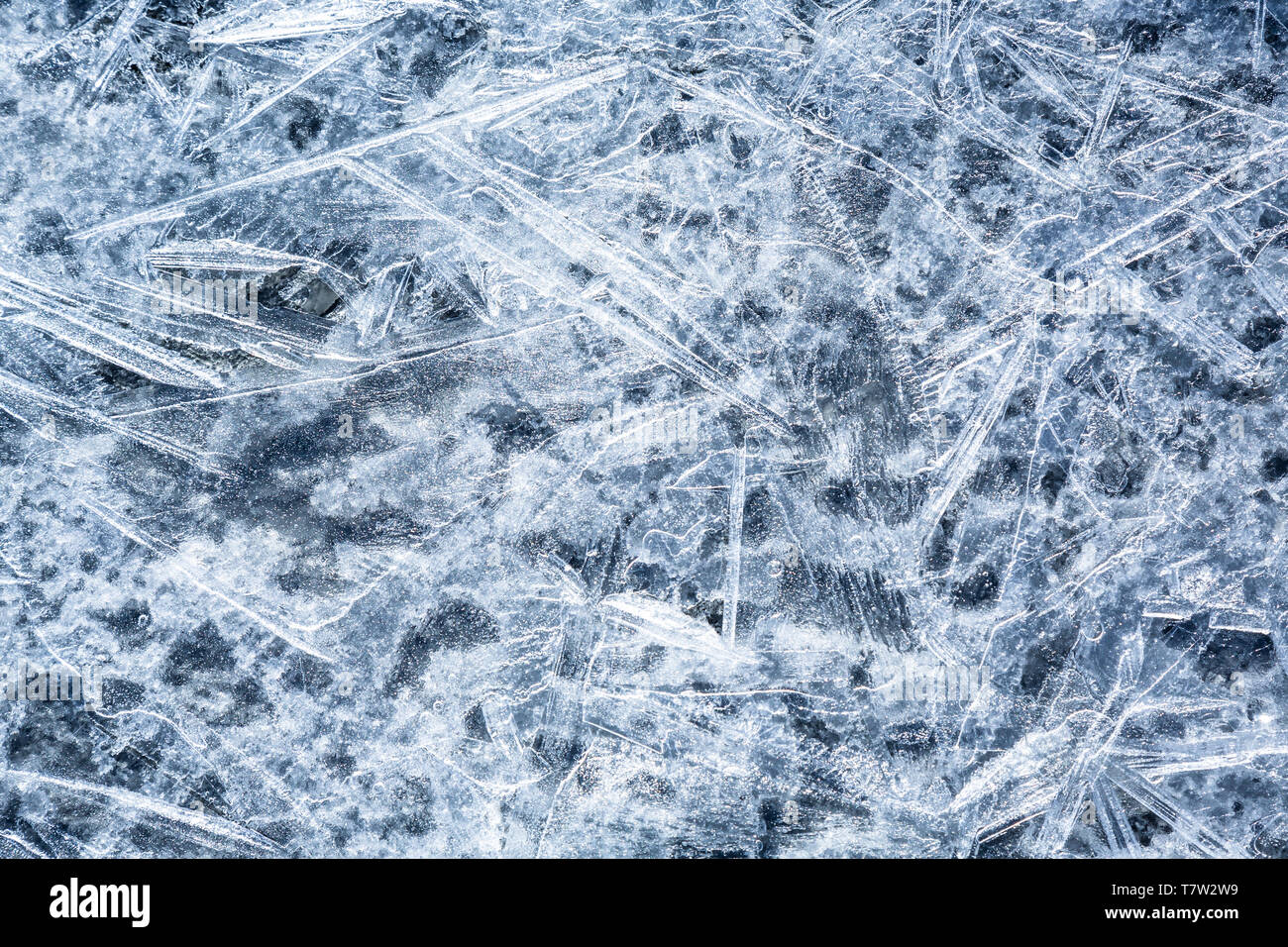 Texture di ghiaccio sottile sul ghiacciaio in Alaska. Il ghiaccio si forma in primavera come il ghiacciaio fonde quindi refreezes per tutta la notte. Foto Stock