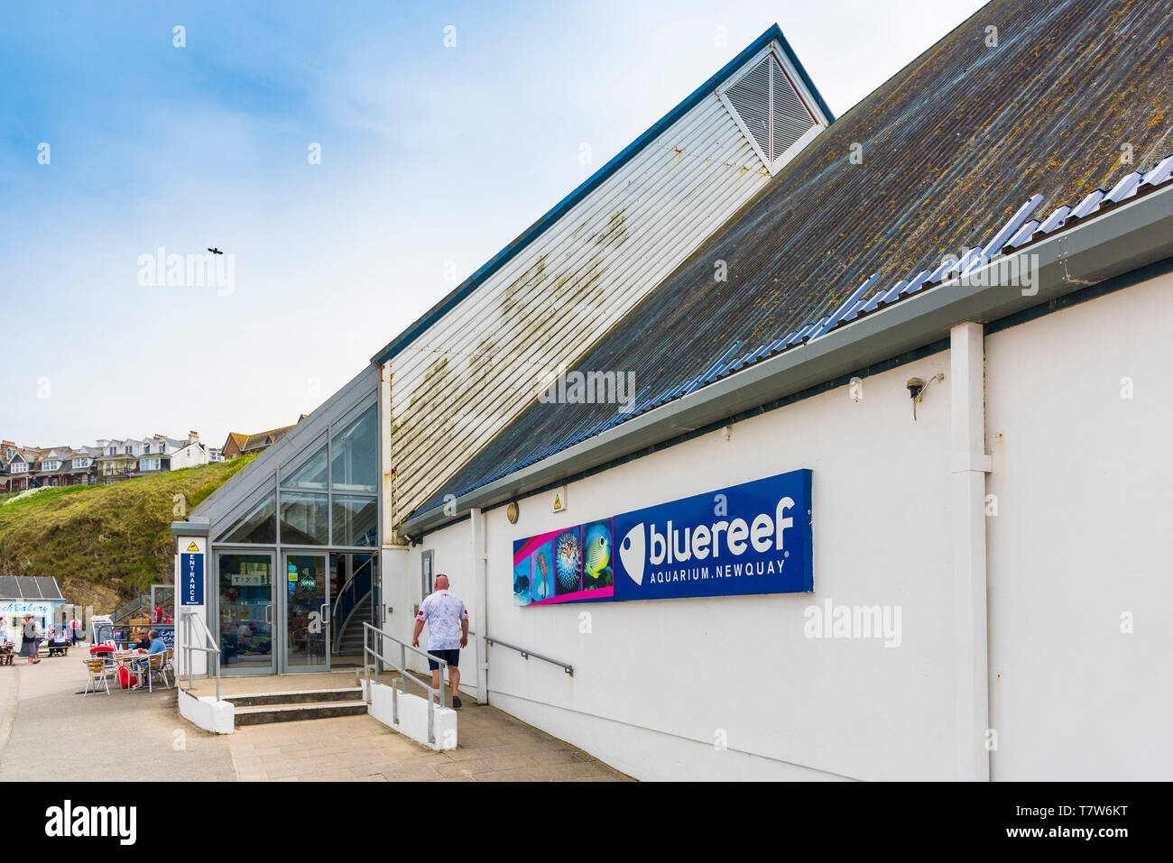 Il Blue Reef Aquarium di Newquay in Cornovaglia. Foto Stock