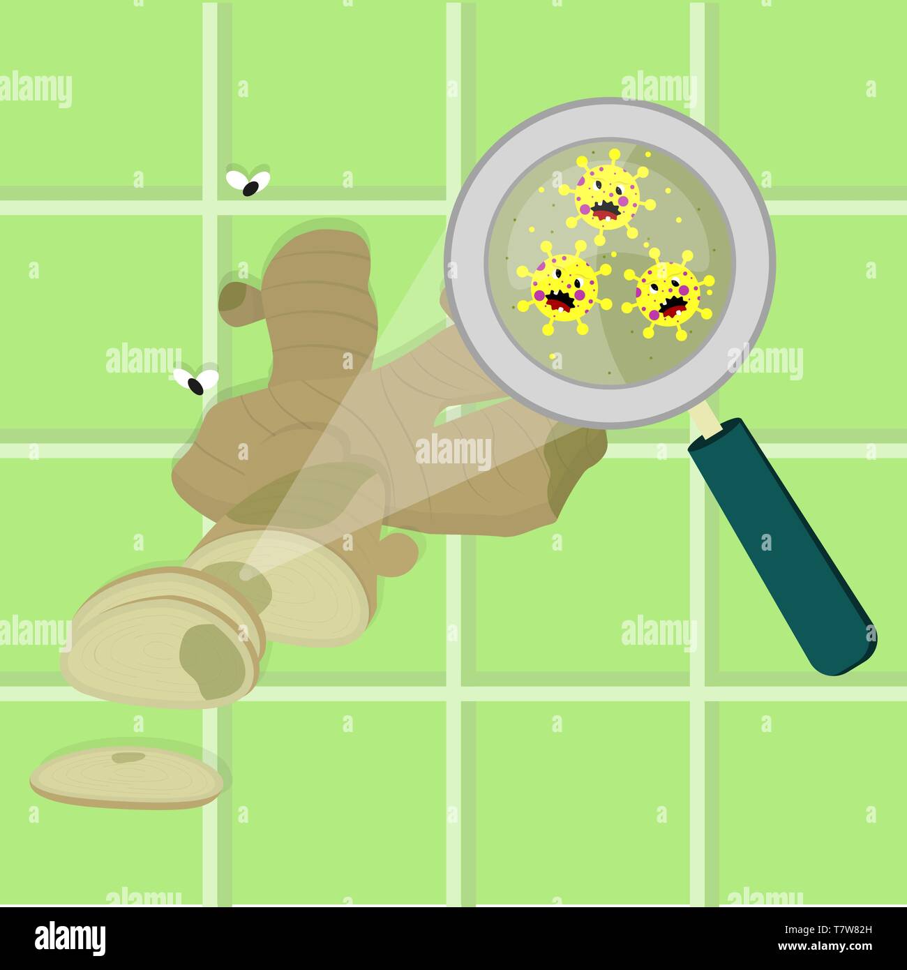 Zenzero affettato lampadina contaminati con il cartoon microbi. Microrganismi, virus e batteri nel vegetale ingrandita di una lente di ingrandimento. Arrabbiato micro Illustrazione Vettoriale