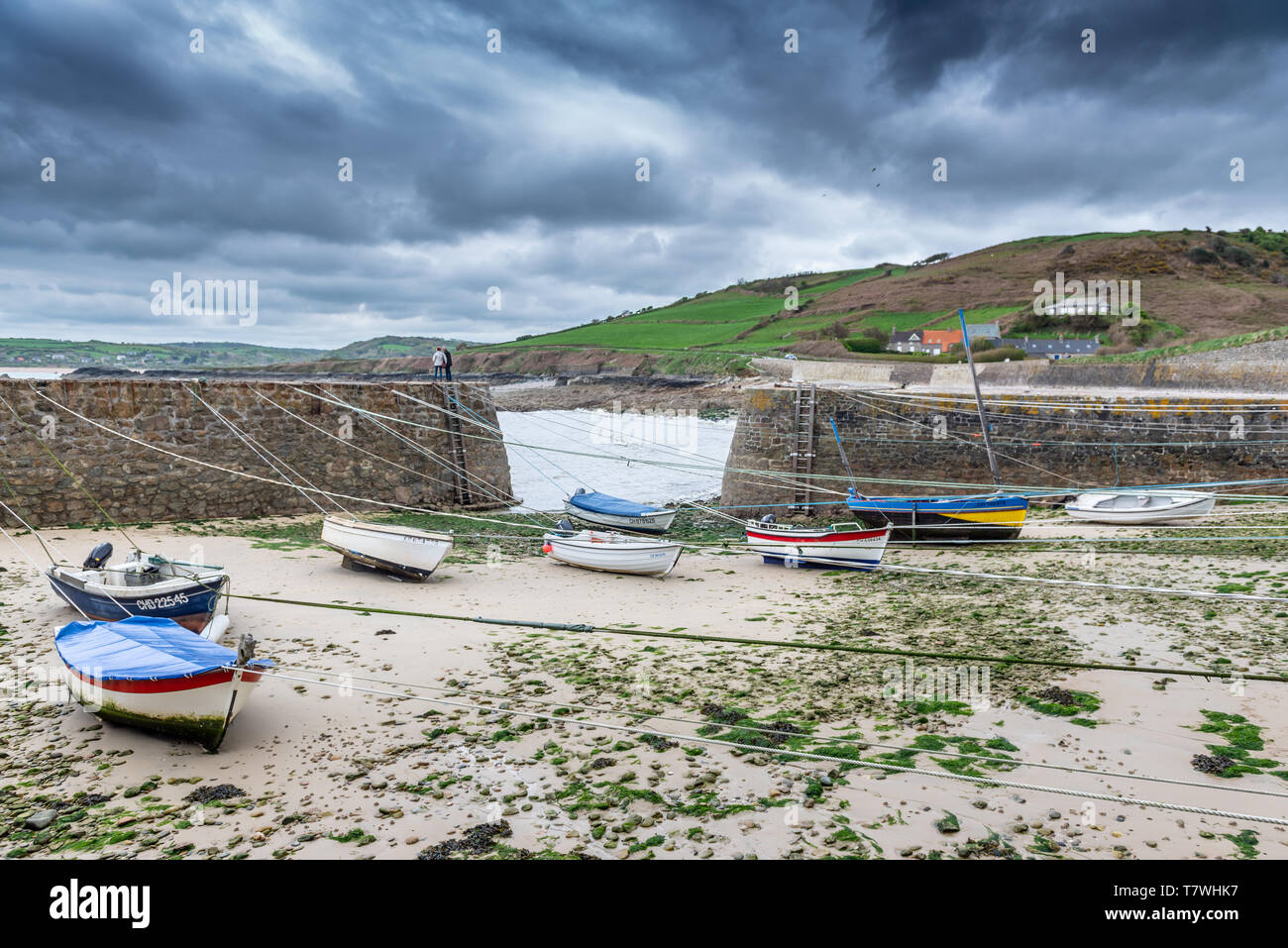 La porta Racine - Saint-Germain-des-Vaux, con la bassa marea, Francia, Manche Foto Stock