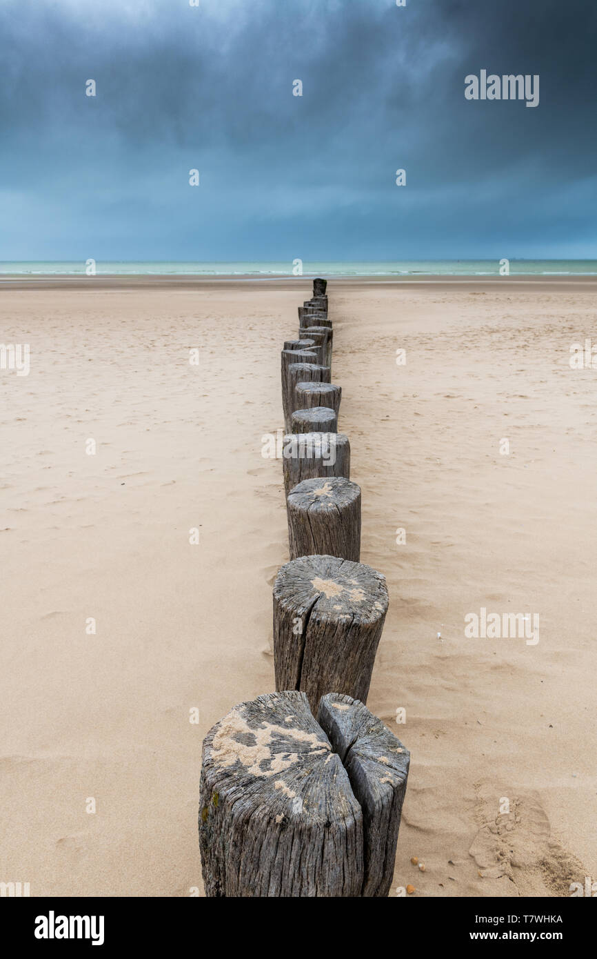 Struttura di frangionde picchetti su una spiaggia francia, Hauts de France, Sangatte Foto Stock